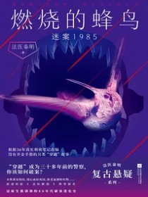 燃烧的蜂鸟:迷案1985(出书版)