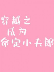 穿越之成为命定小夫郎