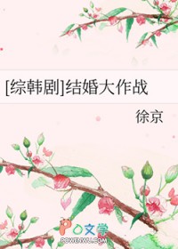 [综韩剧同人] 结婚大作战
